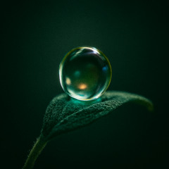 The beauty of details (inst demo)