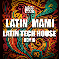 DJ DELIGHT LATIN MAMI