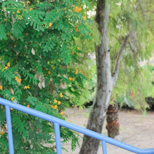 سلامات نانسي عجرم
