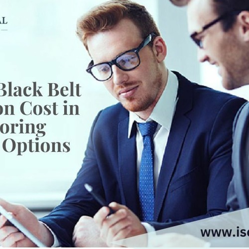 Stream Six Sigma Black Belt Certification Cost in India Exploring