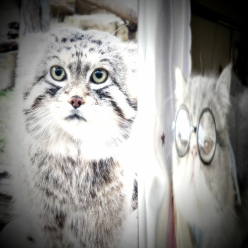 march snippetsszszsz 😱🌷