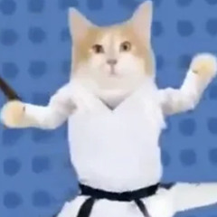 go kitty go - dancing cats (sped up)
