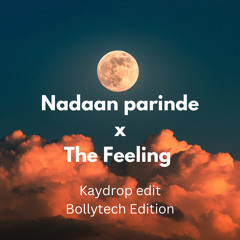 Nadaan parinde x The Feeling (Bollytech edition)