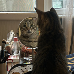 tamamlanmış hiçbir şarkım ben değildi