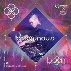 Dan Drogynous :: Bloom Festival 2022 - A PsyLush x Nomada Project Gathering