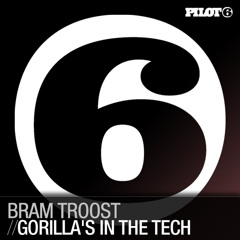 Bram Troost - Gorilla's In The Tech (Original Mix)