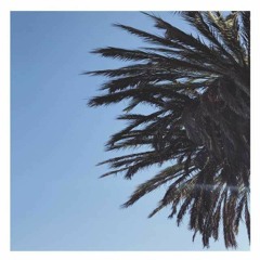 MNTN009 // Sunny Symphony