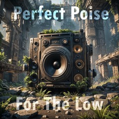Perfect Poise - For The Low