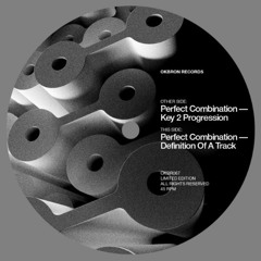 Perfect Combination - Definition Of A Track (preview)