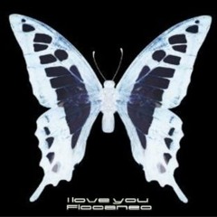 Daisies & Roses (Prod.Ozi)