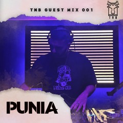 TNB Guest Mix 001: PUNIA