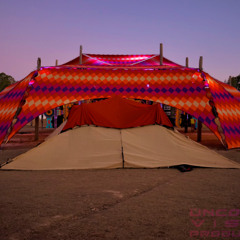 Acousma - Wild horses 2024