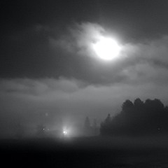 A Dream, Even Stranger