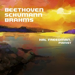 Beethoven Sonata Op.10, No.3 in D Minor,  Largo