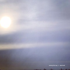everything i wanted - billie eilish (cover)