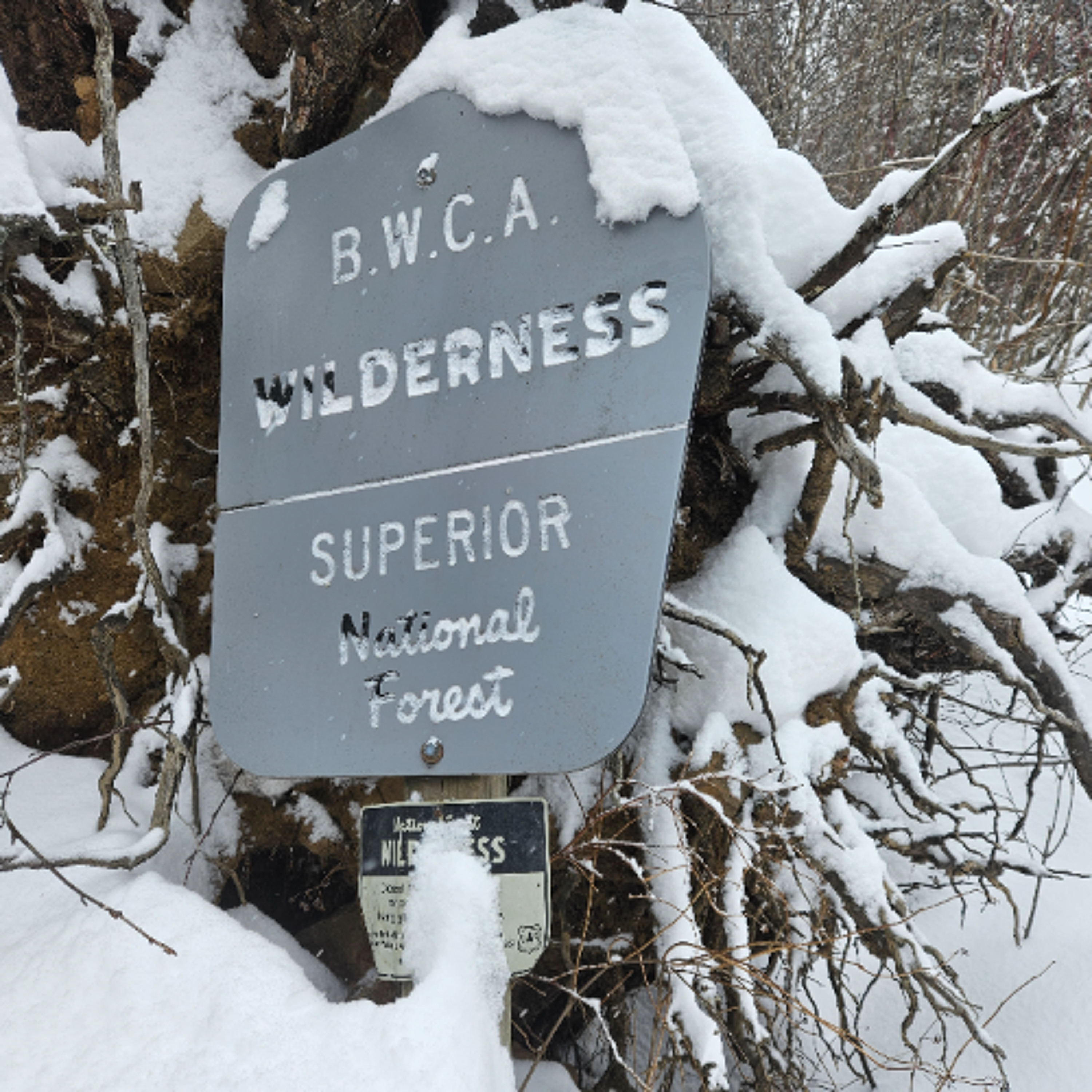 Keep it Wild - Getting Ready for "Go Live" 2026 with Tim Burton at Piragis