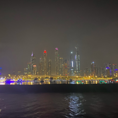 daynight /2023
