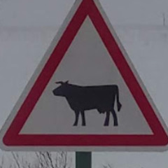 de bür
