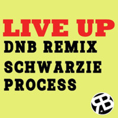 Live Up - Schwarzie & Process DnB Remix (FREE DOWNLOAD)