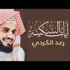 آيات السكينة لدفع القلق والهموم .. ساعة كاملة ..  القارئ رعد الكردي .. Raad Al-Kurdi