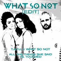 What So Not X T.A.T.u - All The Things You Said Vs Touched (What So Not Edit)