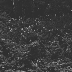 dissociate (old)
