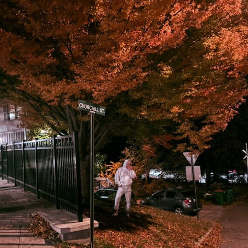 Weightless in the Canopy