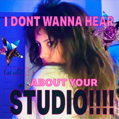 She Really Doesn’t Wanna Hear About Your Studio