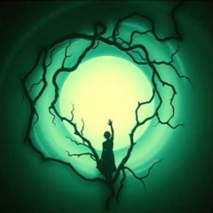 Вокруг лианы