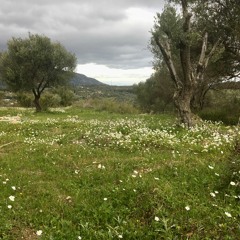 21 Aralık Uzun Trip