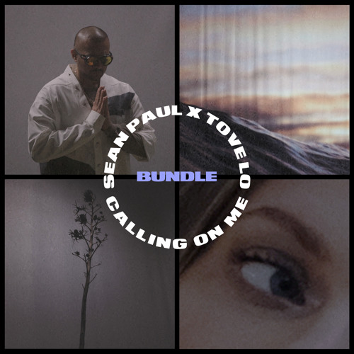 Calling On Me (Jay Mac Remix) [feat. Tove Lo]