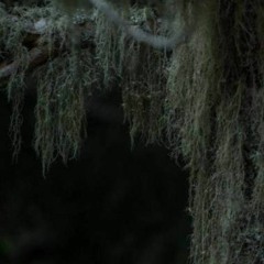 Ambient with beat