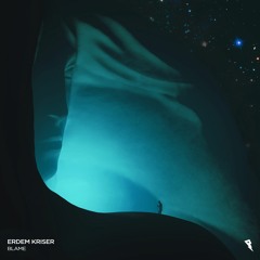 erdem kriser - Blame