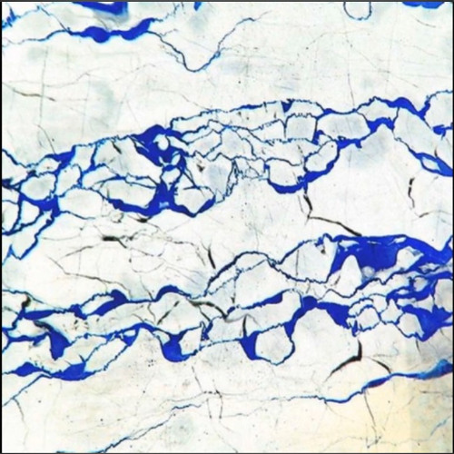 Clams Casino - Always Have a Choice [Havoc]