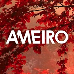 AMEIRO - FLIPA WINE