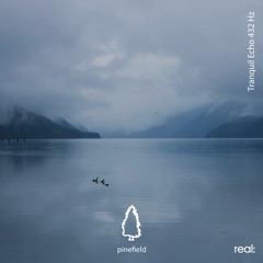 Tranquil Echo 432 Hz