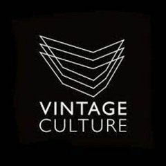 Vintage Culture Live At Brooklyn Mirage NYC 2021 (online - Audio - Converter.com)