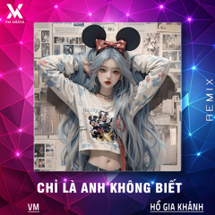Chỉ Là Anh Không Biết (Remix)