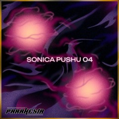 SONICA PUSHU 04 w/ Radical Softness & T-Rail