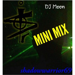 shadowwarrior69 - MINI MIX - DJ Moon