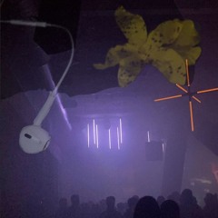 all the things she said is a movie