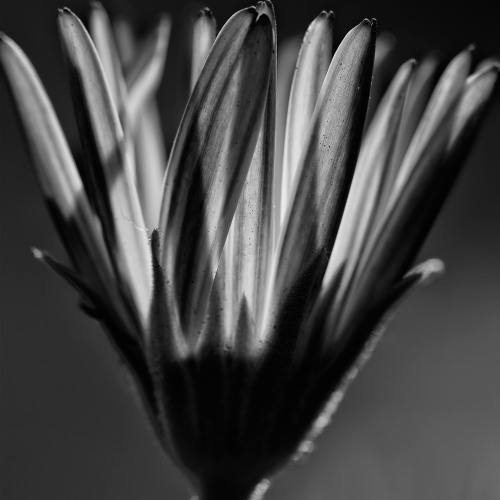 Innerbloom  - Rufus du Sol  (Art Attack Piano Edit)