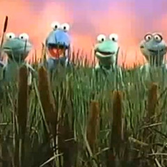 Frog Talk Song by Jim Martin