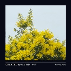 Oslated Special Mix 047 - Haemi Park
