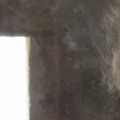 In The Shadow's of Each Other We Thrive