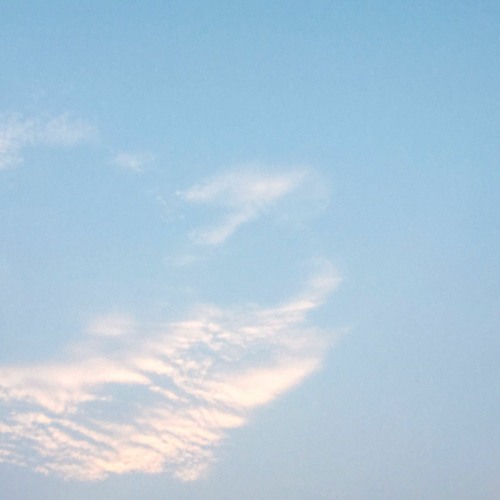 Something that has a light blue color