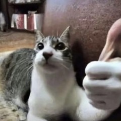 Idk Song