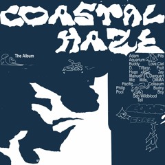 Coastal Haze: The Album