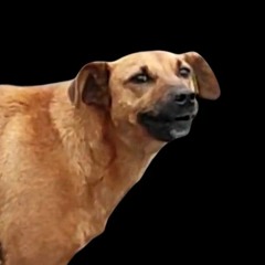 Бархатные тяги