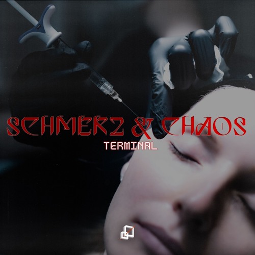 FREE DL | Terminal - Schmerz & Chaos